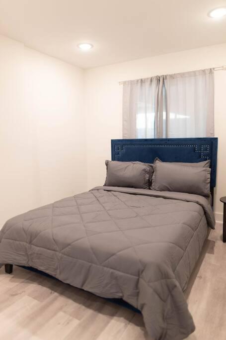 Platinum Palace 1Br 1Ba - Central Dallas Stay Exterior foto